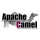 Apache Camel Training in Bulgaria