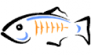 GlassFish обучение в България