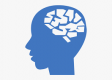 Image for the Human Factors
