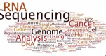 Microbial Genomics Training in Bulgaria