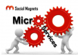 Microservices Training in Bulgaria