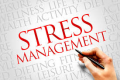 Stress Management обучение в България